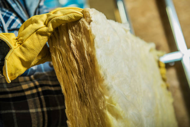Best Insulation Inspection Services  in Preston, ID