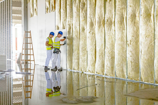 Best Energy-efficient Insulation  in Preston, ID
